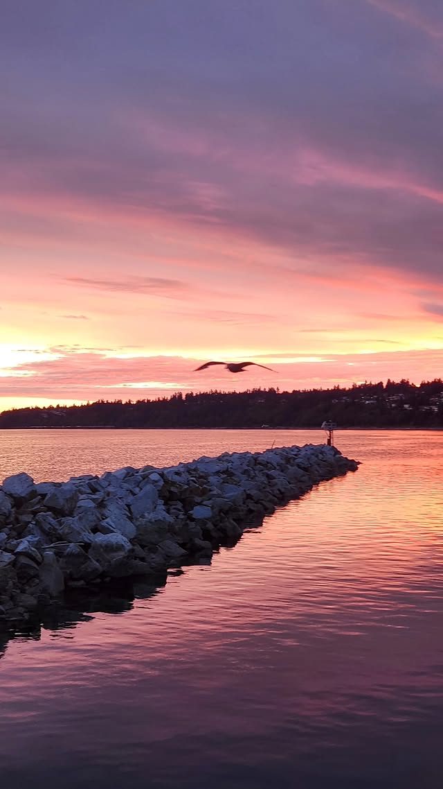 Sunset over the water in British Columbia