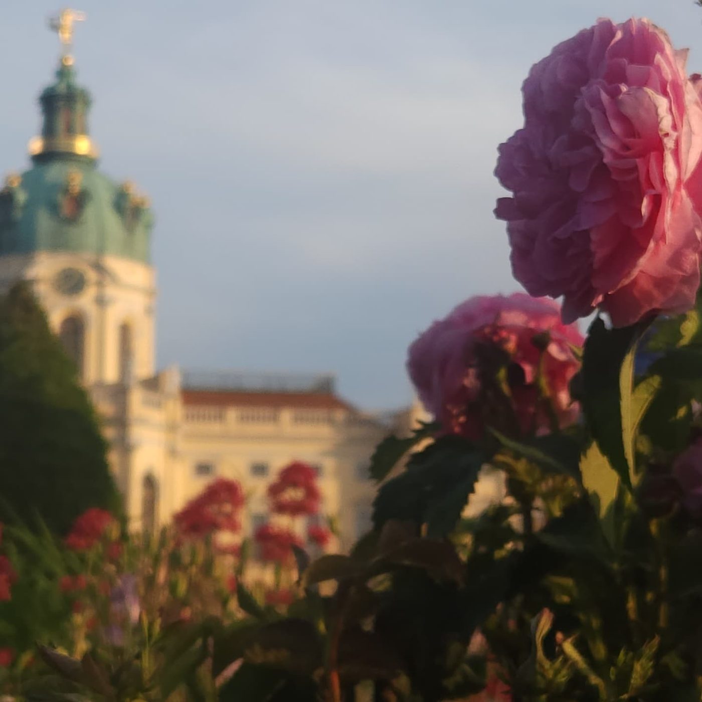 Charlottenburg Palace behind roses